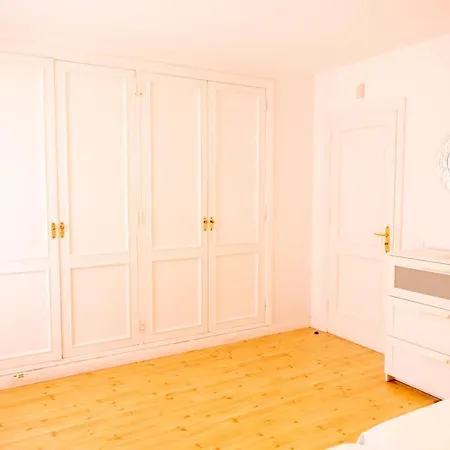 Helechos コラレホ