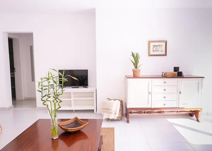 Helechos 科拉雷侯